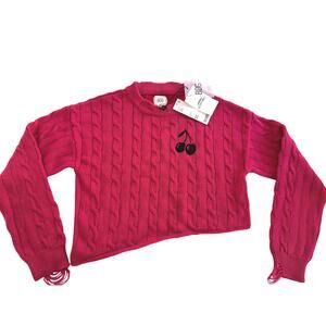 BDG Urban Outfitters Pink Cherry Cropped Sweater Size Medium